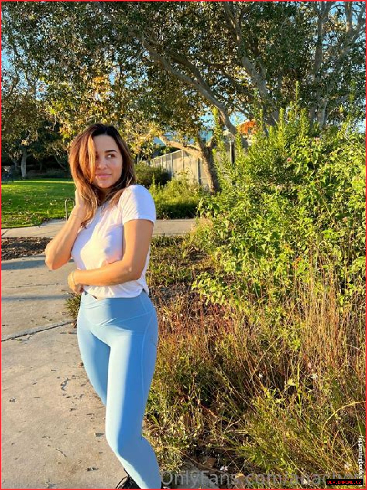 Ana Cheri: The Unveiling Of Her Divorce Journey
