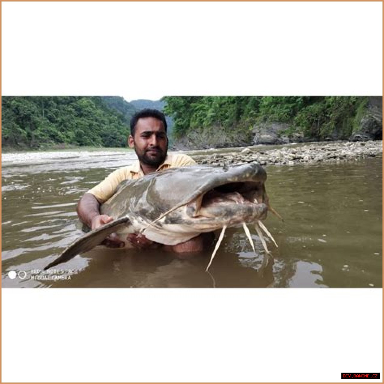 Unveiling The Mystique Of Isaac Catfish: The Enigma Of The Aquatic World